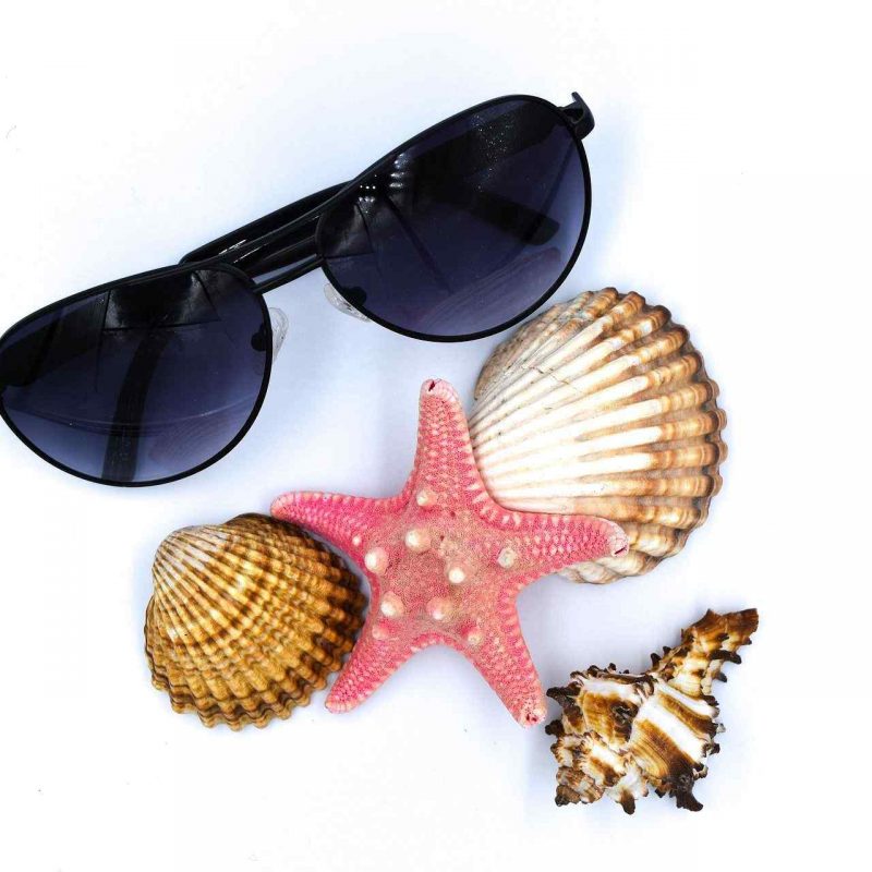 Sunglasses and seashells.